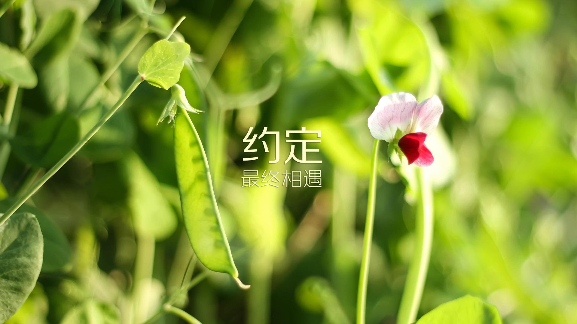 开云网站-【训练指南】奥沙利文：提升击球精准度的日常训练秘籍，奥沙利文球技