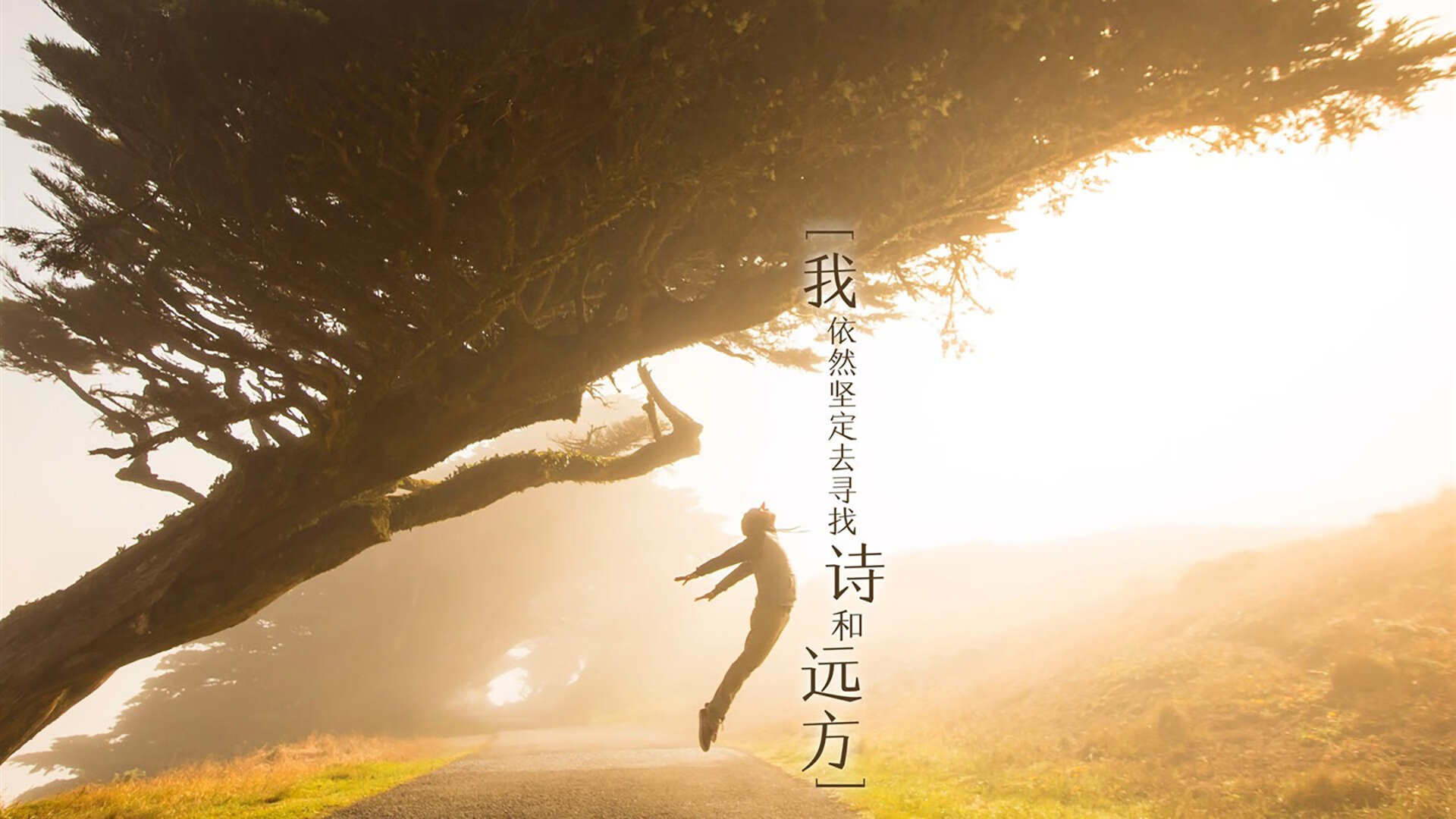 公牛打造“战术博物馆”，收藏数十年经典战术录像，战斗公牛