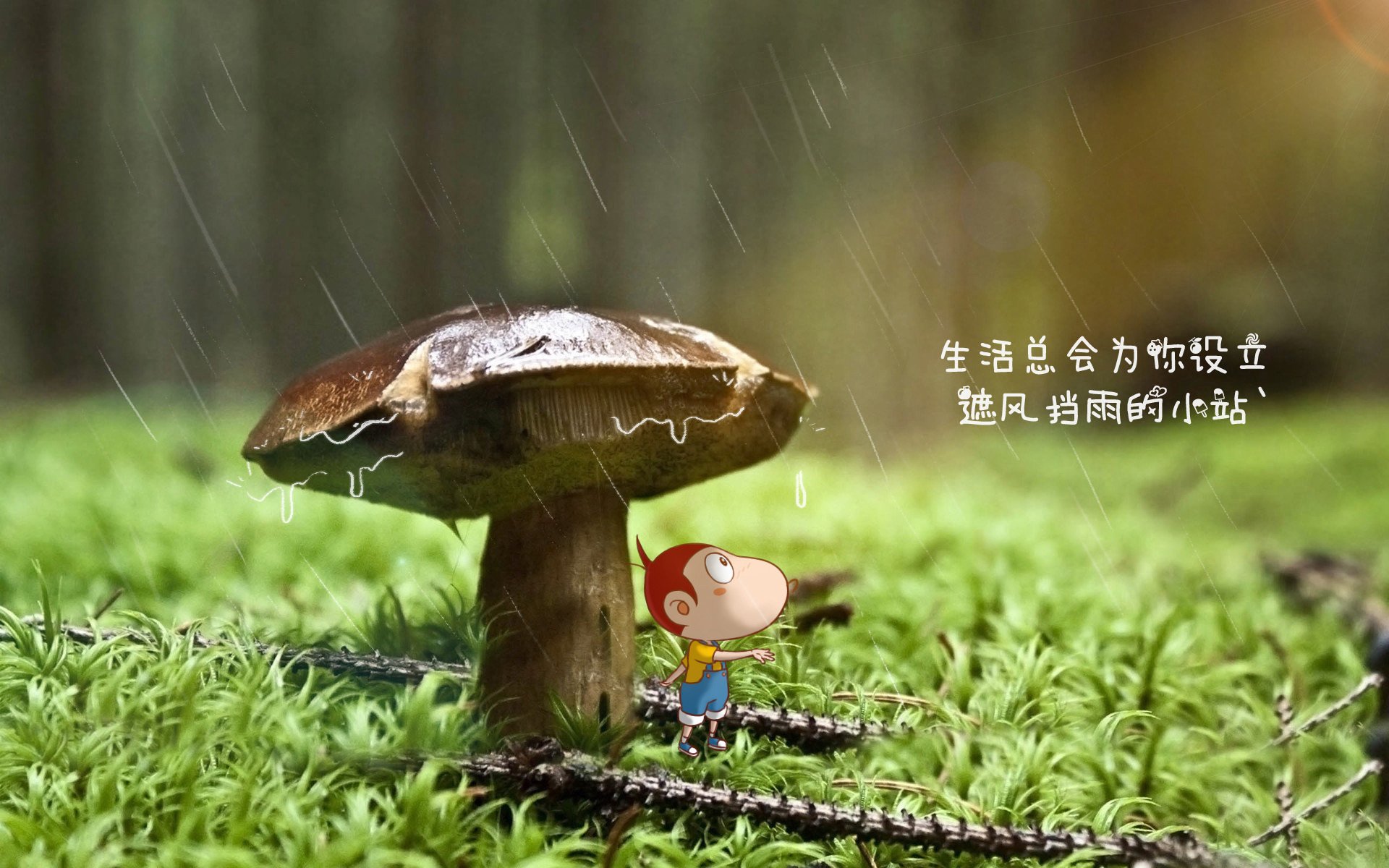 克罗地亚队再进欧洲杯八强，莫德里奇续写传奇，克罗地亚欧洲杯最好名次