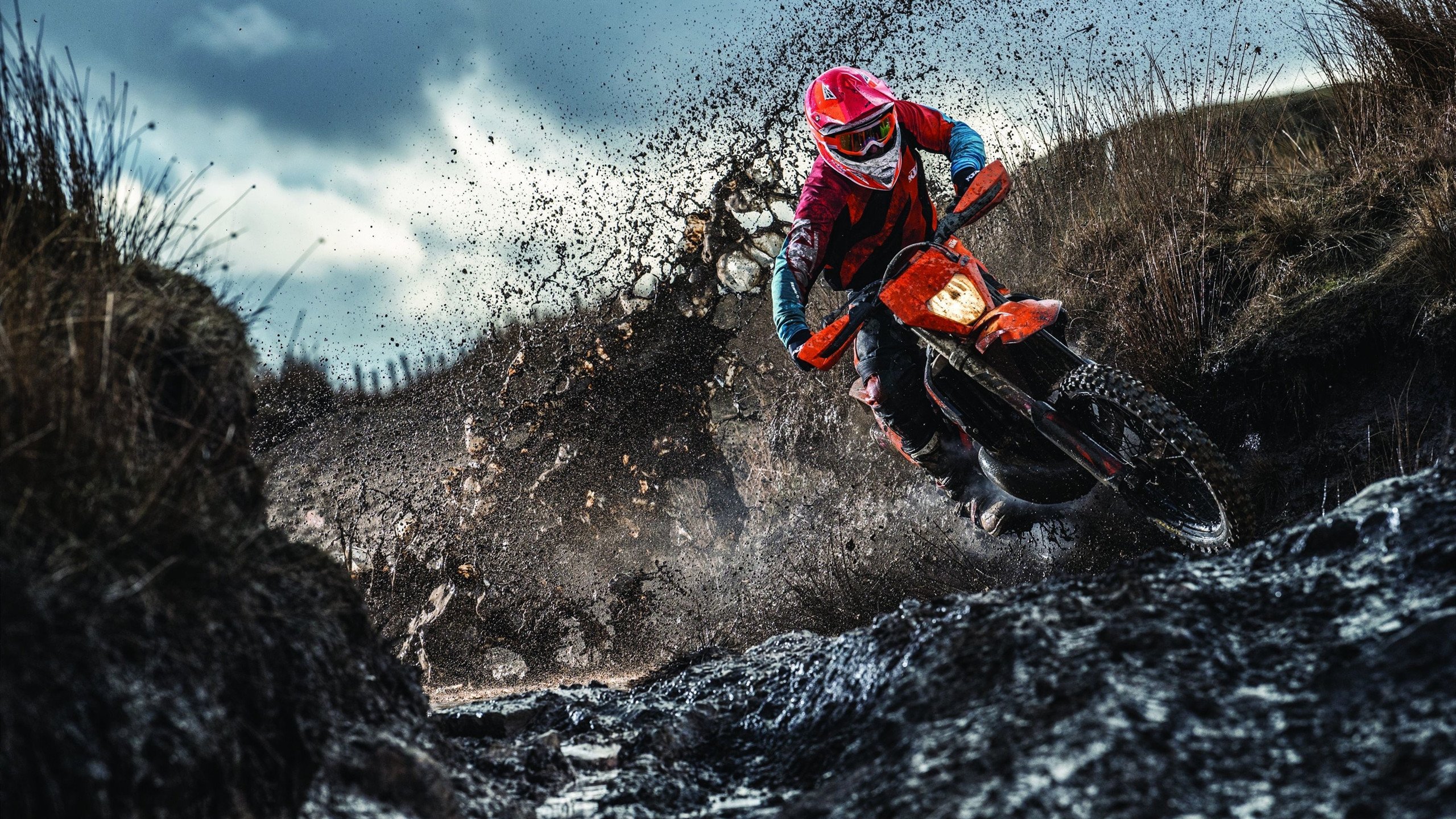 _猛龙队内线强硬，面对对手毫不退缩_，猛龙队员